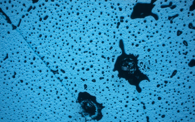 Greenpeace in Greenland: Climate Change Impacts expedition in Arctic : Petermann glacier