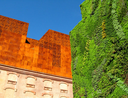Camera Club: Vertical Garden