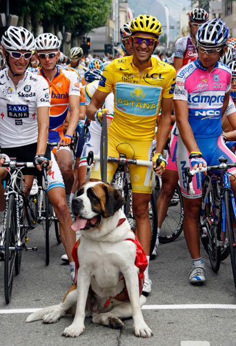 Tour de France stage 16: Alberto Contador with a Saint Bernard