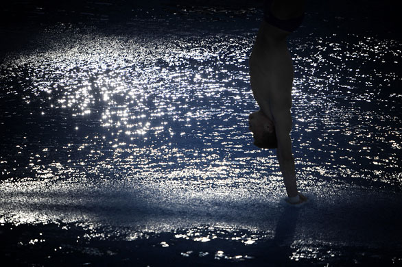 Diving: Tom Daley
