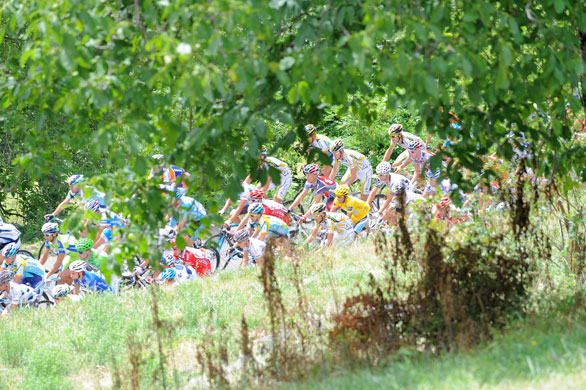 Tour de france stage 17: The peloton rides though the lush green French Alps