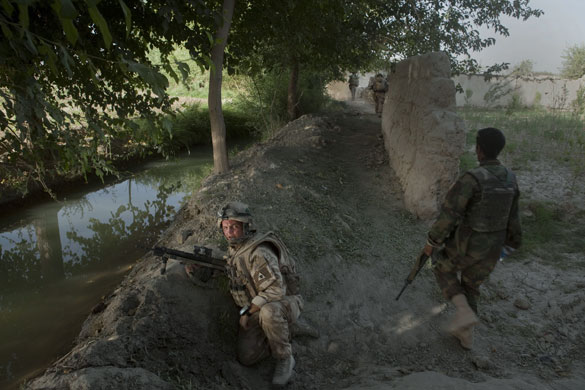 Sean Smith Helmand: A British army sergeant checks compounds during a patrol in Nawa province
