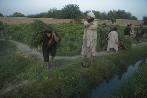 Sean Smith Helmand: British and American troops, part of an OMLT, pass people carrying crops
