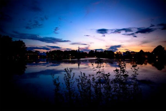 Festival Gallery: secret garden