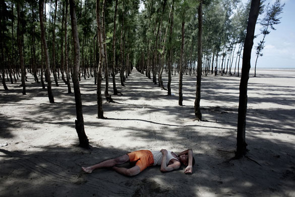 Bangladesh flood defences: Between the beach and the town, huge areas are planted with trees