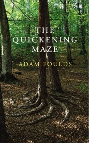 Booker longlist: Adam Foulds: The Quickening Maze