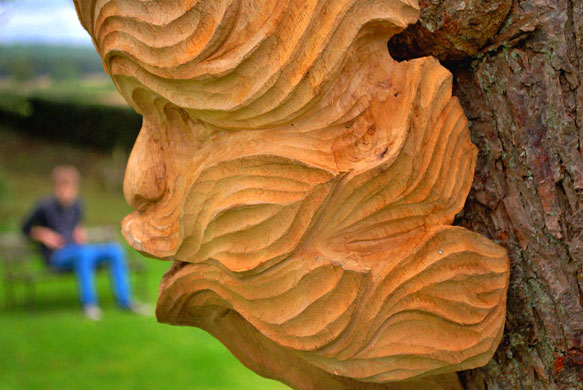 Fittleworth ~ UK folio: Viewer at Treve Cottage Art Show