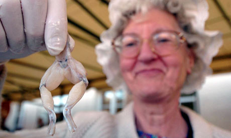 Annual frog fair, Vittel, France