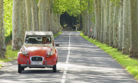 Driving on a tree lined road in France.