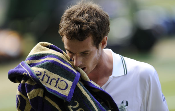 Wimbledon Day Eleven: Wimbledon Day Eleven
