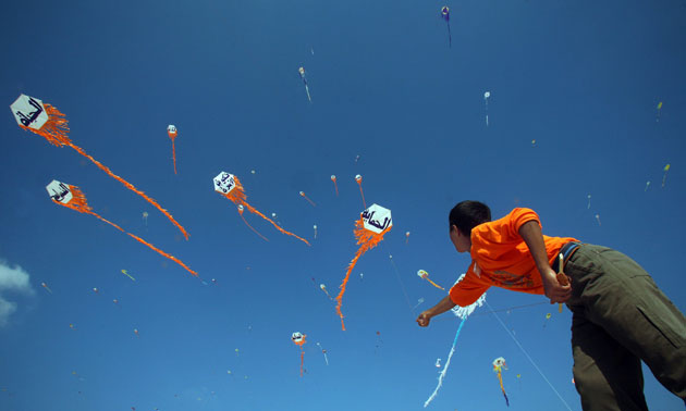 Palestinian kite festival: Palestinian kite festival in Beit Lahiya, northern Gaza Strip