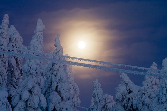 iancumberland folio: iancumberland folio review