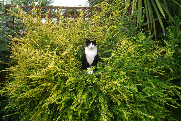 In Pictures Pose: Maureen Shepherd