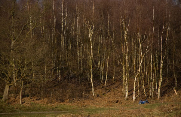 richbunce monthly folio: richbunce monthly folio