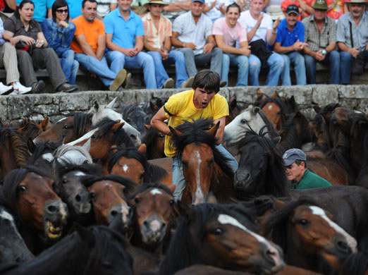 24 hours in pictures: Sabucedo, Spain: A horseman tries to tame a wild horse 