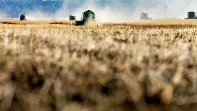 24 hours in pictures: Bucharest, Romania: Grain harvesters work the land in heat haze