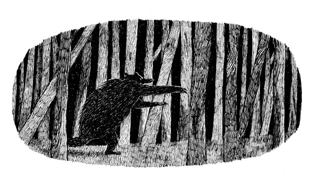 Bears: Illustration by David Roberts