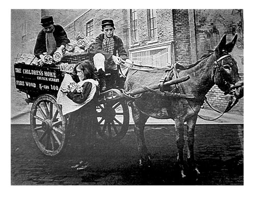 Action for Children: Action for Children: a donkey and cart donated to the charity