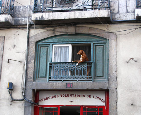 In Pictures: Ollie Thomas