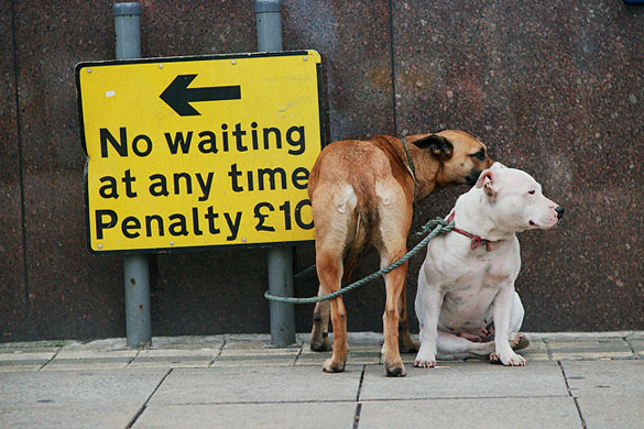 In Pictures: Chris Porsz