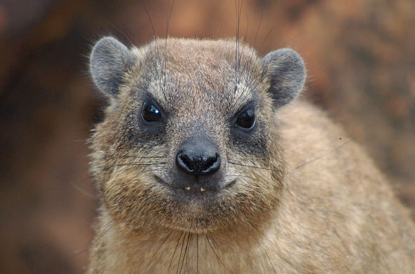 In Pictures: Emotion: Josee Gosselin