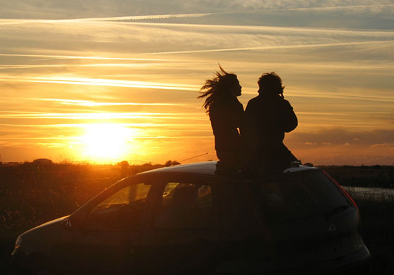 In Pictures: sun-kissed: Mike Howell