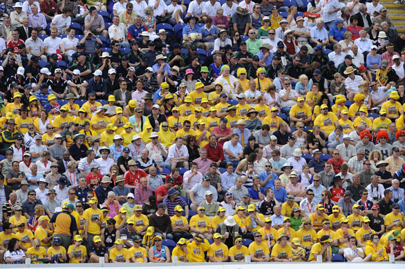 Tom Jenkins: Ashes cricket at Cardiff