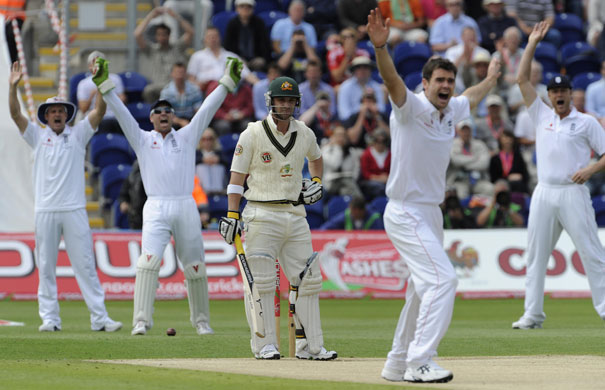 Tom Jenkins: Ashes cricket