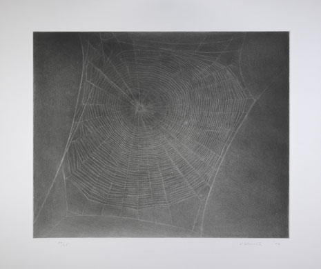 Edinburgh art festival: Vija Celmins, Untitled (Web 4) 2002