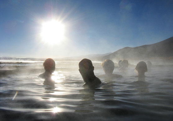 Smallnorthernbird folio: smallnorthernbird_portfolio5