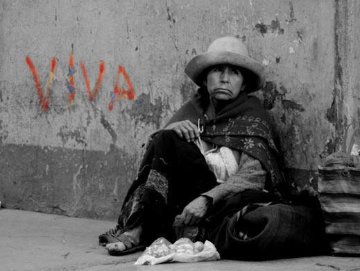 Smallnorthernbird folio: smallnorthernbird_portfolio2