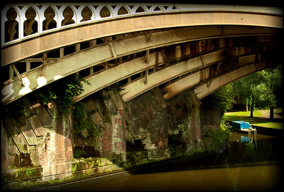 Mr sAg portfolio: Ribs