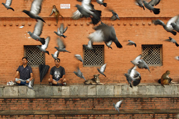 12 August 2009: Swayambhunath Stupa, Nepal: A man practices yoga 