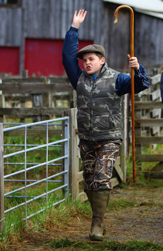 Lairg lambs: Farmers Gather For The Largest Lamb Sale In Europe