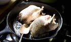 Roast grouse with creamed lentils