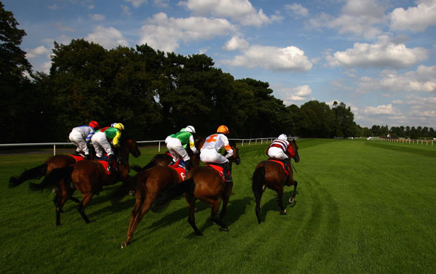 24sport: The runners and riders at the start of the fifth race at Sandown Park