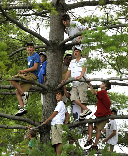 24sport: Tiger Woods fans watch from up a tree at the PGA Championship