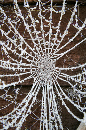 In Pictures: Success: Pete Holmes