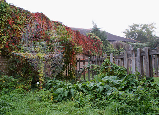 In Pictures: Success: Paul Corbin