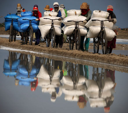 14 August 2009: Sumenep, Indonesia: Farmers carry bags of salt on bikes during a harvest