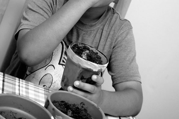 jenquest assignment: child with a potted plant