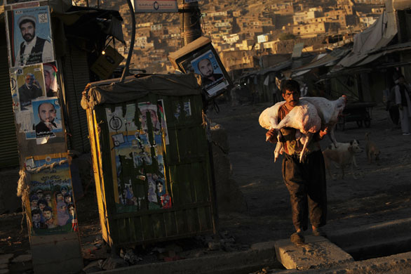 Afghanistan election: Kabul: A butcher carries meat as he walks past electoral posters 