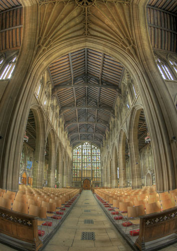 veggiesosage assignment: St Marys West FE