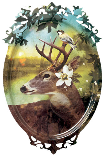 Space wishlist: trays: Stag tray