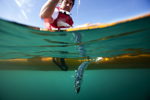 Fishing with Monbiot: Fishing with George Monbiot