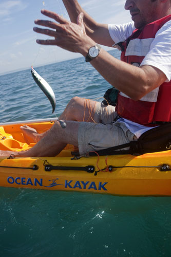 Fishing with Monbiot: Fishing with George Monbiot