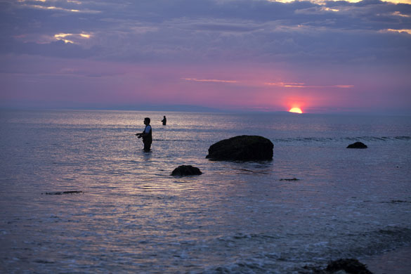 Fishing with Monbiot: Fishing with George Monbiot