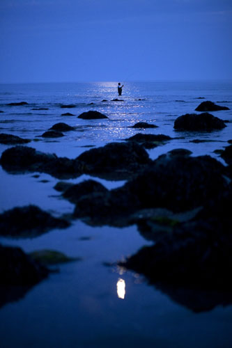 Fishing with Monbiot: Fishing with George Monbiot