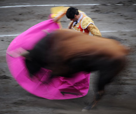 24sport: Matador Enrique Ponce gives a capote pass 