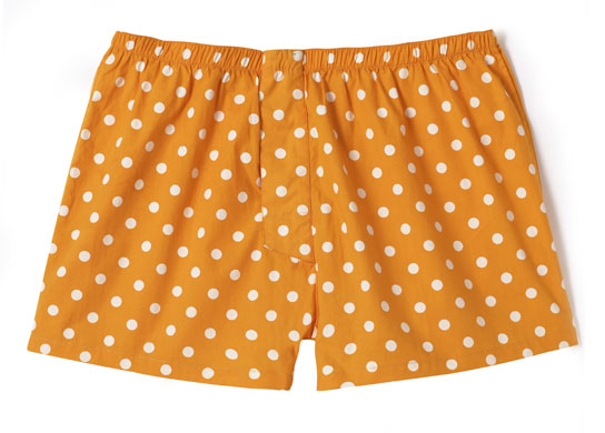 The fashion briefing: Acne boxers